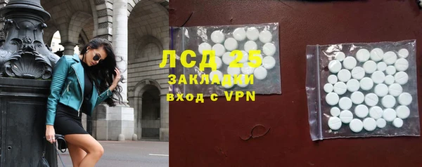 ПСИЛОЦИБИНОВЫЕ ГРИБЫ Армянск