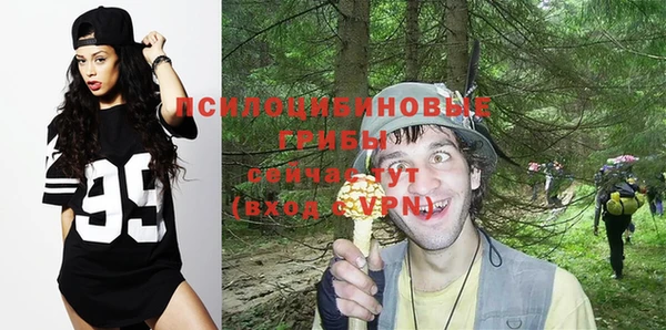 ПСИЛОЦИБИНОВЫЕ ГРИБЫ Армянск
