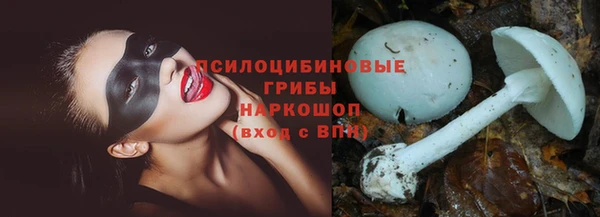 ПСИЛОЦИБИНОВЫЕ ГРИБЫ Армянск