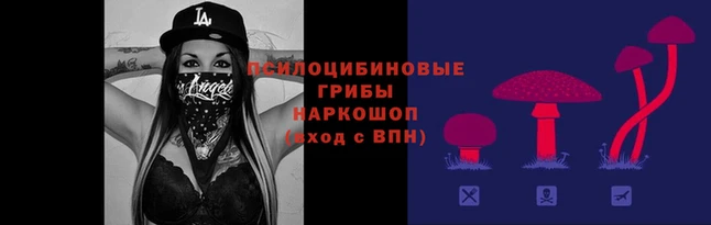 ПСИЛОЦИБИНОВЫЕ ГРИБЫ Армянск