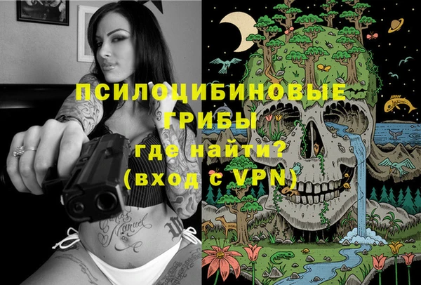 СК Заводоуковск