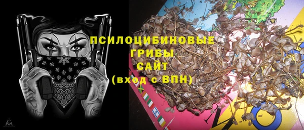 гашик Заволжск