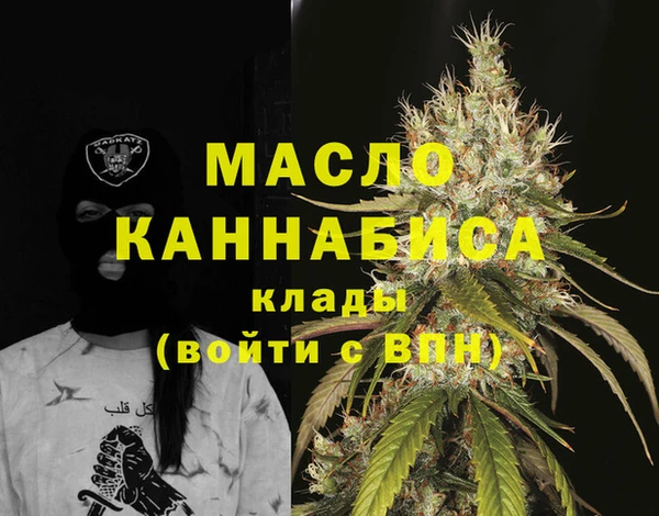 гидра Кодинск