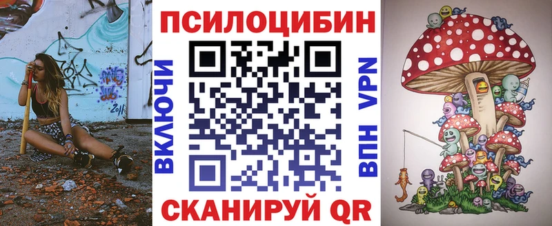Псилоцибиновые грибы Psilocybe  магазин    Валдай 